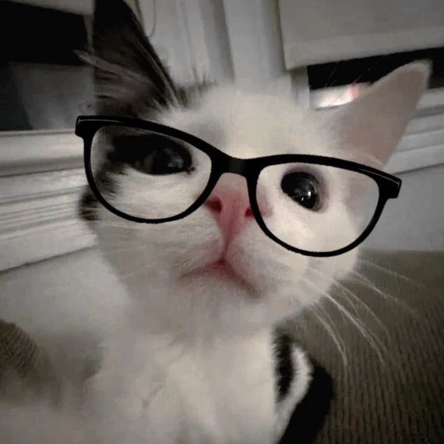 Котик 6